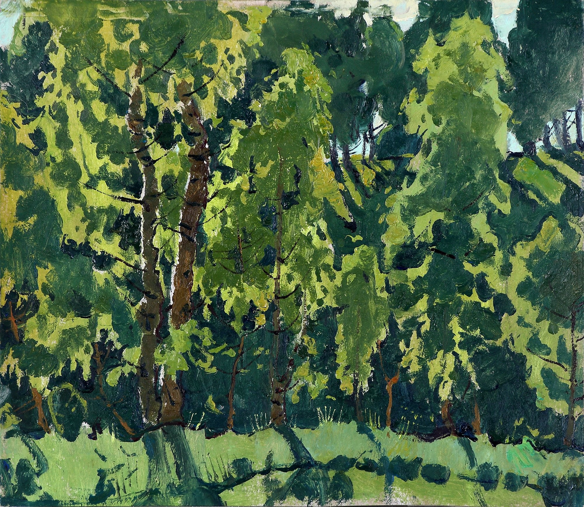 June. Morning. Birch trees.